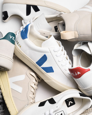 INTRODUCING...VEJA