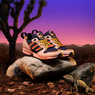 NATIONAL PARK FOUNDATION X ADIDAS ZX 5000 "JOSHUA TREE"