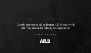 LAPSTONE INITIATIVE