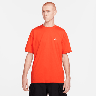 ACG SS TEE - COSMIC CLAY