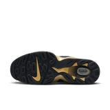 AIR DT MAX `96 "COLORADO HOME"