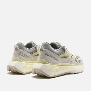 ODYSSEY ELMT LOW - METAL / ALOE WASH