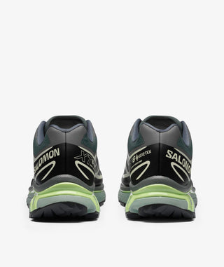 XT-6 GTX - URBAN CHIC / BLACK / LIME CREAM