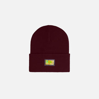 ABC 123 HOLOGRAM BEANIE - PORT