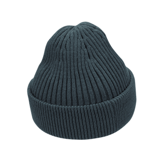 ACG CUFFED BEANIE - FADED SPRUCE